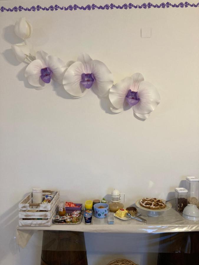 B&B Casa Losea Castello delle Forme ภายนอก รูปภาพ