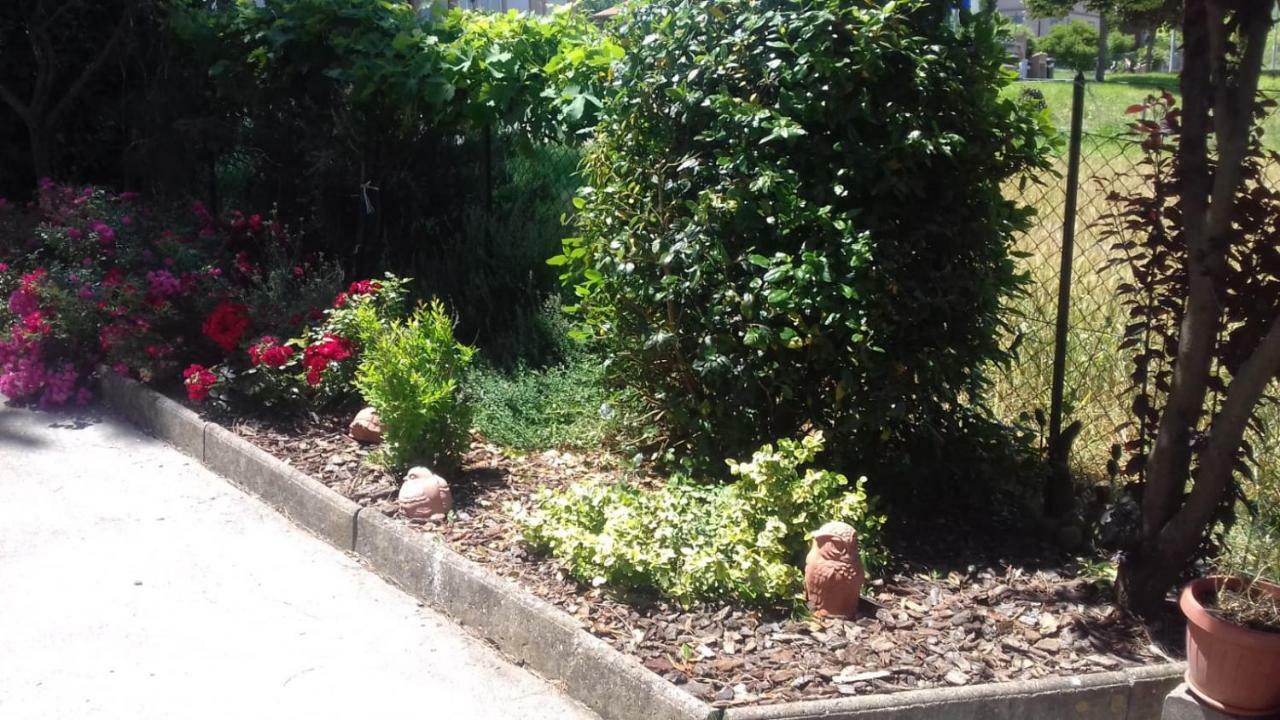 B&B Casa Losea Castello delle Forme ภายนอก รูปภาพ